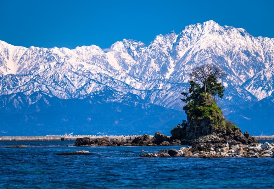 和歌山城
